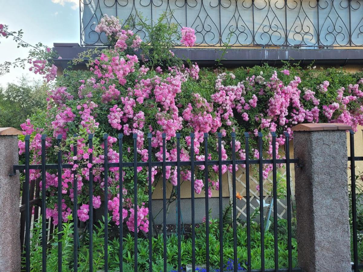 Dom Goscinny Asia Homestay Kolobrzeg